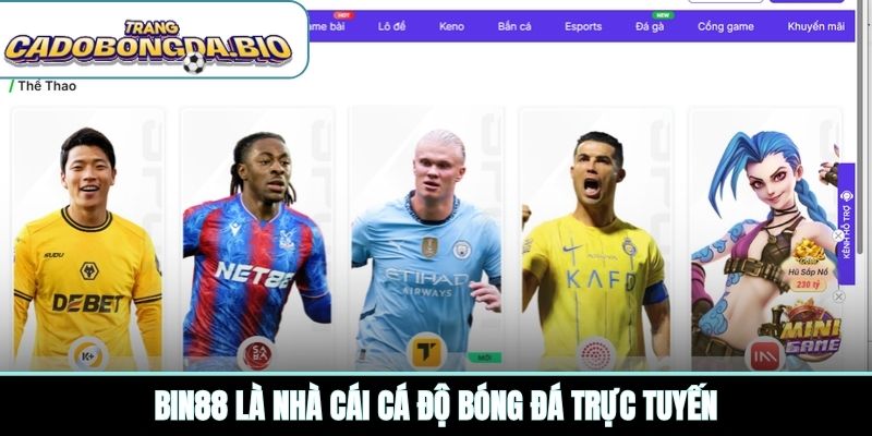 BIN88 là nhà cái cá độ bóng đá trực tuyến