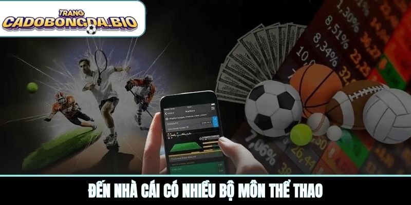 Đến nhà cái có nhiều bộ môn thể thao