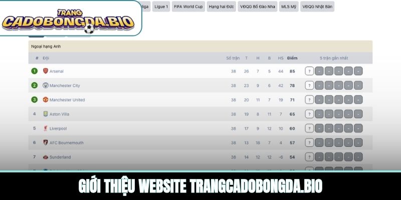 Giới thiệu website exoticasc.com